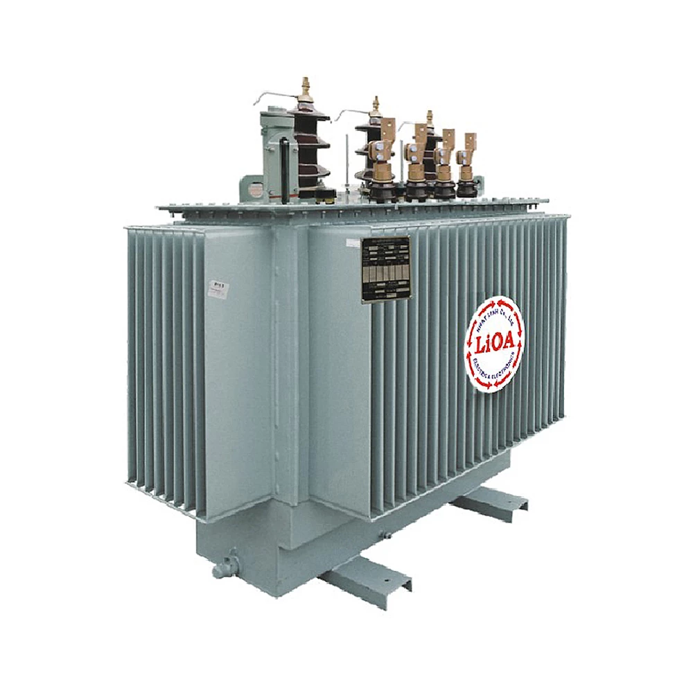 Biến áp điện lực 3 pha ngâm dầu loại 10(22)/ 0,4kV
